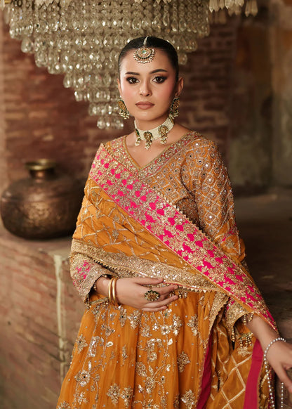 Orange  Chiffon Lehenga choli with embellishments/3 pcs